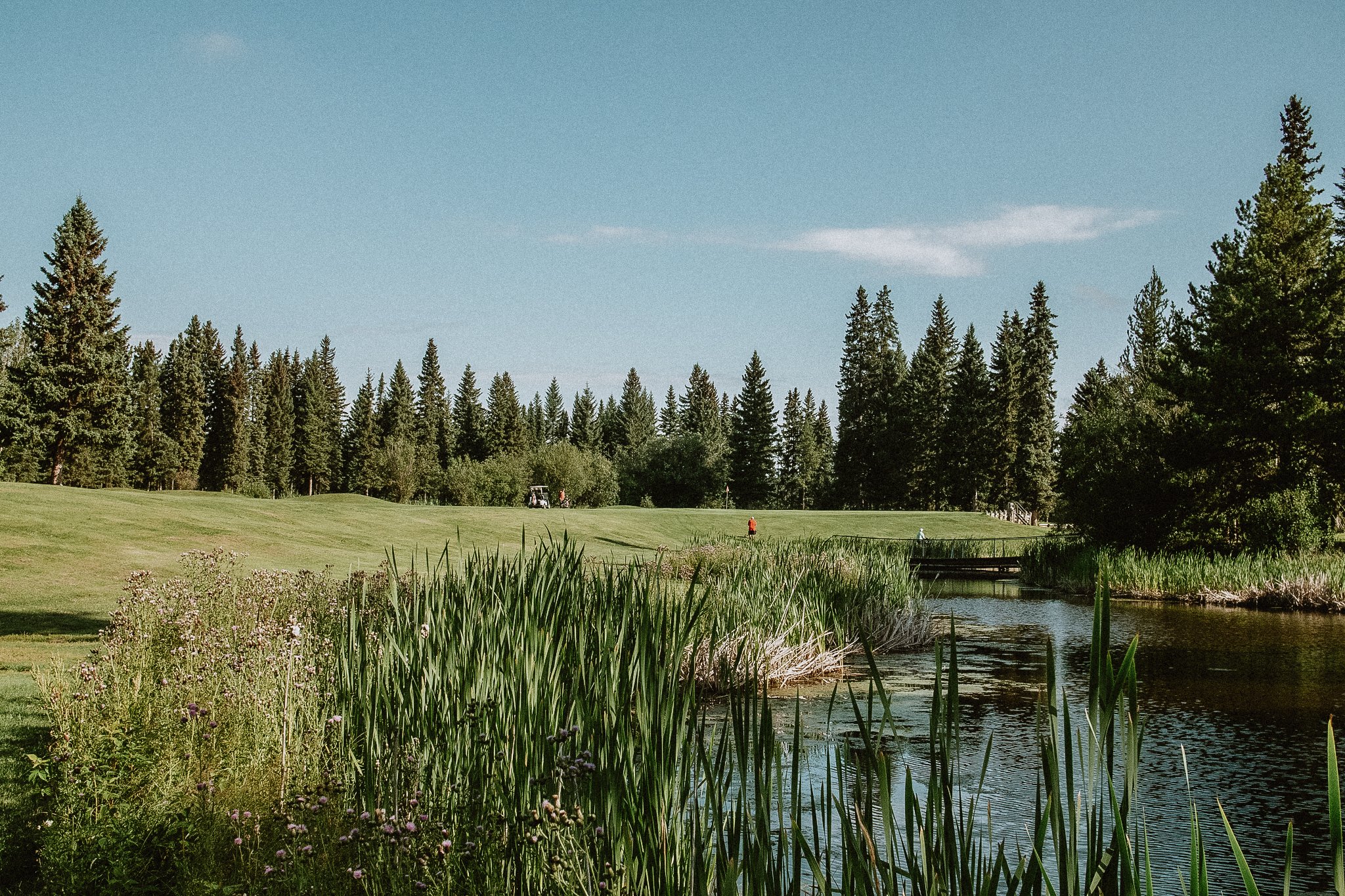Aspen Grove a walkable, friendly 5700-yard course from the blue tees and encourages you to use every club in your bag.